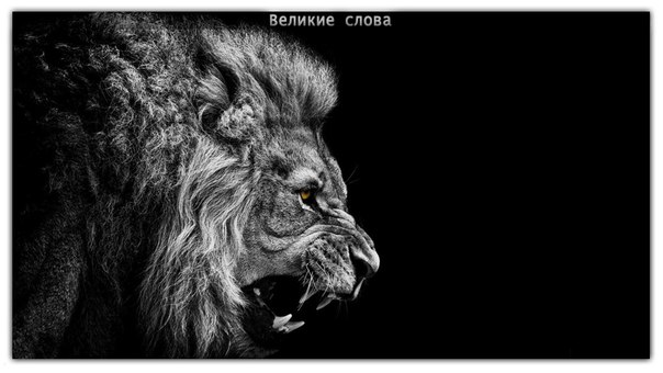 Войско баранов, возглавляемое львом, всегда одержит победу над войском львов, возглавляемых бараном.