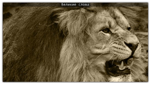 Войско баранов, возглавляемое львом, всегда одержит победу над войском львов, возглавляемых бараном.