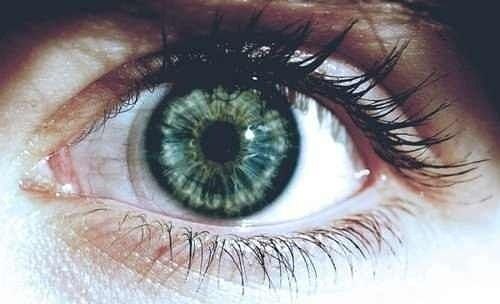 зелёные глаза бывают у дурочек или у сумасшедших. 
