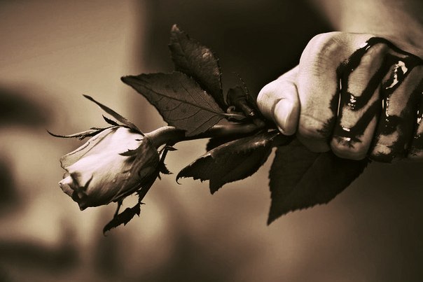 Любовь...Подобна цветку розы...Такая же красивая и такая же непредсказуемая...Ты можешь тысячу раз уколоться, но все равно, всегда ждешь именно этого подарка для себя...
