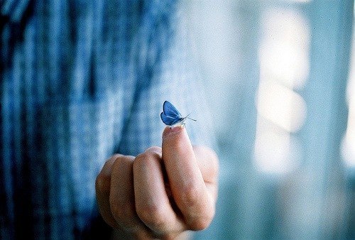 Человеческая душа - как бабочка: стоит неосторожно к ней прикоснуться, и ты ранишь ее навсегда.