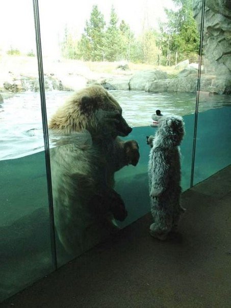 Малыш в костюме медвежонка изучает обитателей зоопарка