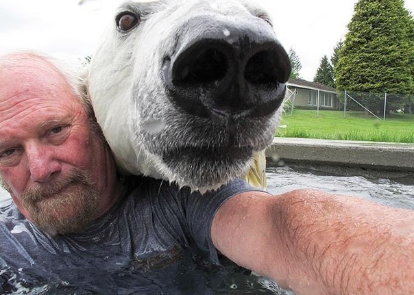 Марк Эббот Думас — единственный человек в мире, способный находиться в такой непосредственной близости от полярного медведя. Зверя зовут Эги, она с удовольствием борется с Эбботом, валяется с ним на газоне, купается.