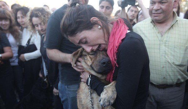 Эта девушка нашла своего пса, спустя 2 недели, после наводнения в Ла-Плата, Аргентина.