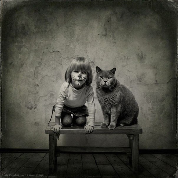 Фотопроект "Маленькая девочка и кот Том" от Andy Prokh
