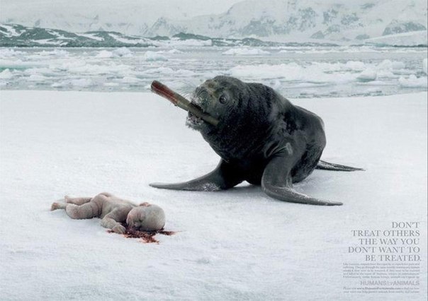 Реклама против убийства животных Не поступайте так, как не хотите чтобы поступали с Вами