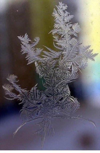 Не зря говорят, природа - лучший творец! Узоры, которые появляются на окнах зимой.