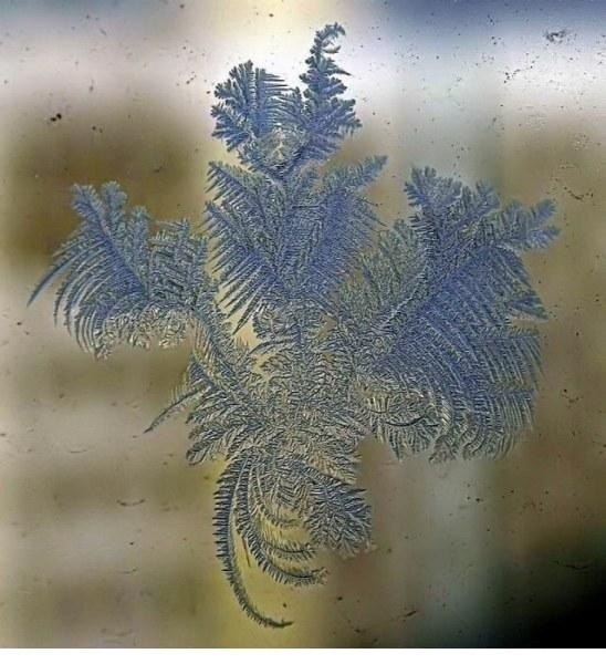 Не зря говорят, природа - лучший творец! Узоры, которые появляются на окнах зимой.