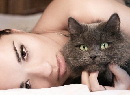 Кошка никогда не подружится с тем, кто не способен полюбить ее. Кошки никогда не ошибаются в людях.