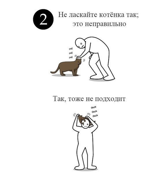 Несколько уроков обращения с котом :)