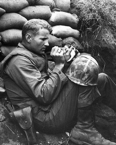 Сержант морской пехоты Френк Прейтор с помощью пипетки кормит молоком маленького котенка, мама которого погибла от мины.