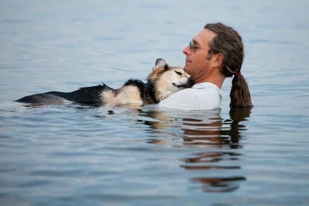 Американец ежедневно носит больного пса к озеру, чтобы тот выспался