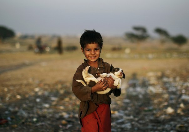 Пятилетний мальчик, беженец из Афганистана, несёт щенка, найденного на свалке на окраине Исламабада, Пакистан, 18 октября 2012 года