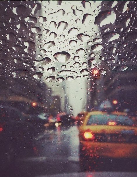 Некоторые люди наслаждаются дождем, другие просто промокают.