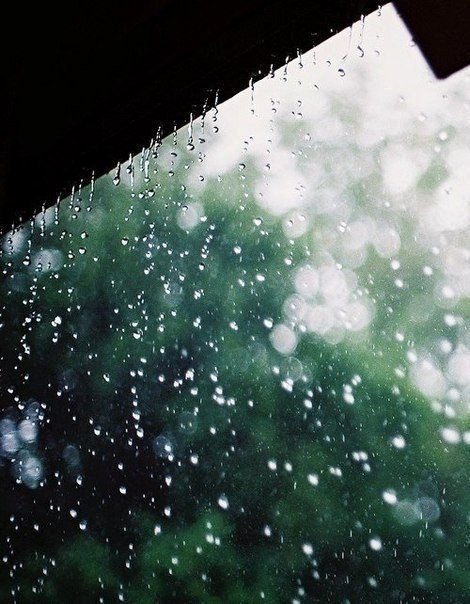 Некоторые люди наслаждаются дождем, другие просто промокают.