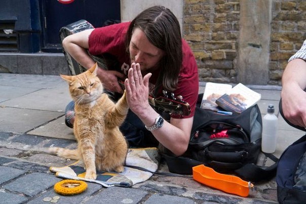 Бездомный Джеймс встретил рыжего кота Боба, и тот изменил его жизнь. Все эти пять лет Боб вместе с Джеймсом, и дает ему силы зарабатывать на жизнь и измениться.