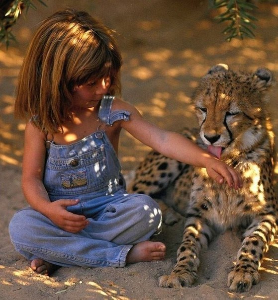 У Типпи Дегре, рожденной в Африке в семье французских фотографов, было очень необычное детство. Девочка выросла в африканской пустыне, где у нее развились теплые отношения со многими дикими животными.