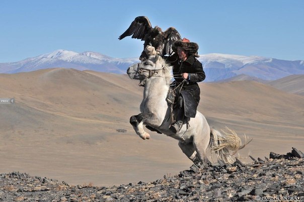 Монголия – иной мир. Эти уникальные фото привозит из своих экспедиций ученый Хамид Сардар