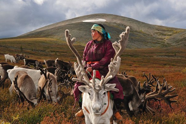 Монголия – иной мир. Эти уникальные фото привозит из своих экспедиций ученый Хамид Сардар