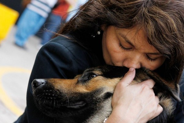 Слепая девушка-юрист по имени Джейн Косар обнимает свою собаку-поводыря в Лиме, Перу. Она борется за право слепых заходить с собаками-поводырями в магазины, банки, общественный транспорт и другие места, куда вход с животными обычно воспрещен