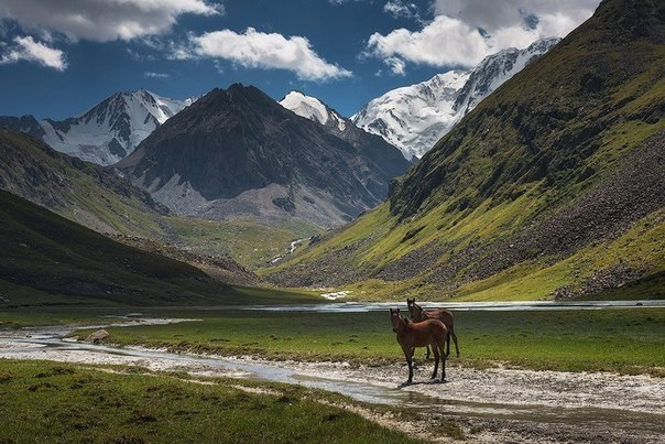 Горы Тянь-Шань, Киргизия. Автор фото: Даниил Коржонов.