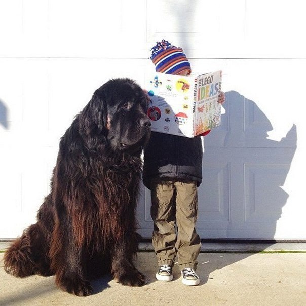 Фотограф Сташа Бекер сделала серию снимков своего 4-летнего сына Джулиана вместе с его лучшим другом- ньюфаундлендом Максом.