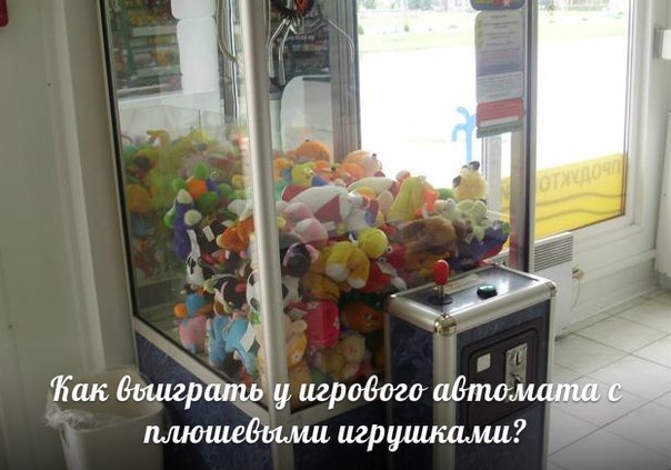 Как выиграть у игрового автомата с плюшевыми игрушками? 