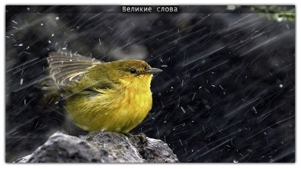 Бог посылает нам испытания, чтобы мы, преодолевая их, укреплялись, а не отчаивались!