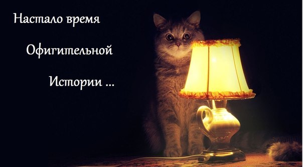Я встречался с подругой целый год и в конце мы решили пожениться.