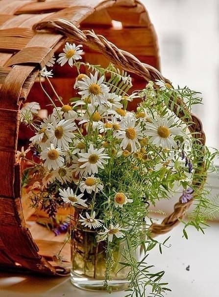 Научиться вставать раньше. Зеркалам улыбаться чаще.