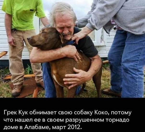 Реальная жизнь