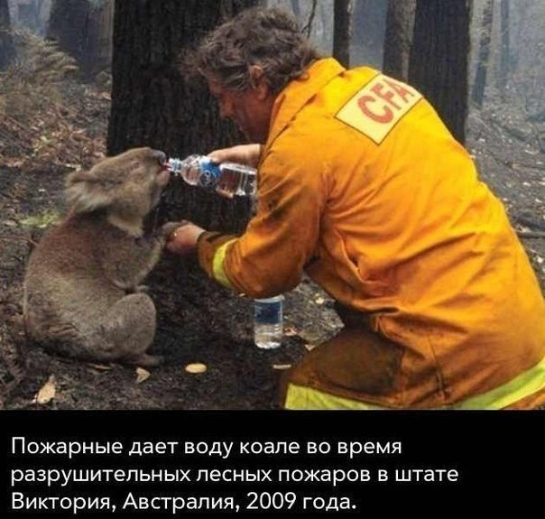 Реальная жизнь